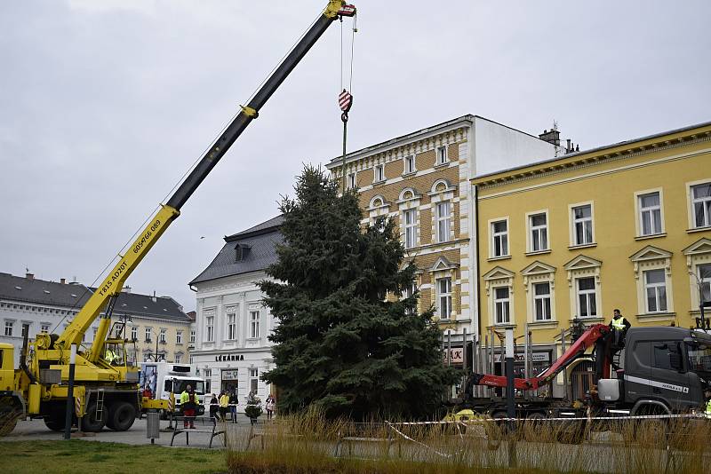 Instalace vánočního stromu na prostějovské náměstí T. G. Masaryka, pondělí 22.11. 2021