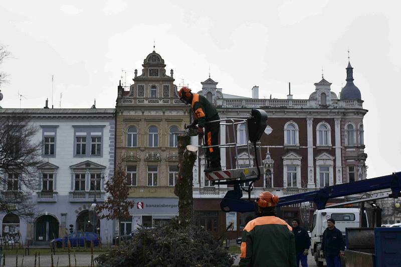 Z prostějovského hlavního náměstí zmizela vánoční dominanta, strom Horáček