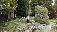 Prostějovská Botanická zahrada Petra Albrechta nabízí zajímavou procházku i v podzimních měsících. 19.10.2020