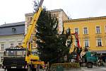 Usazování vánočního stromu v Prostějově