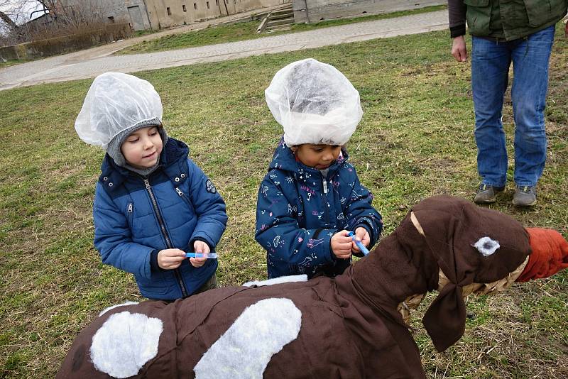 Zimní výprava za telátky ve Vrchoslavicích. 22.2. 2020