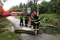 Příjezdovou cestu do kempu Žralok zatarasil ve středečním podvečeru padlý strom. 21.6. 2023