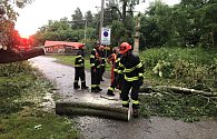 Příjezdovou cestu do kempu Žralok zatarasil ve středečním podvečeru padlý strom. 21.6. 2023
