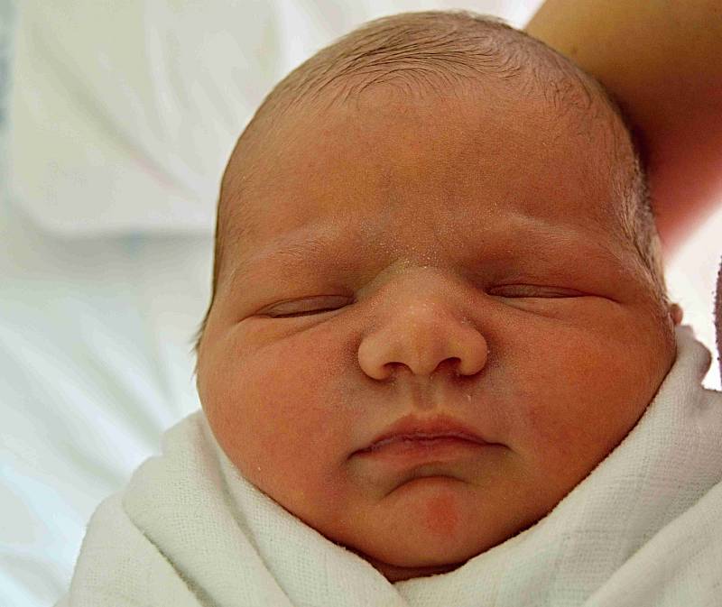 Dominik Šujan, Prostějov, narozen 17. listopadu 2019 v Prostějově, míra 49 cm, váha 3300 g