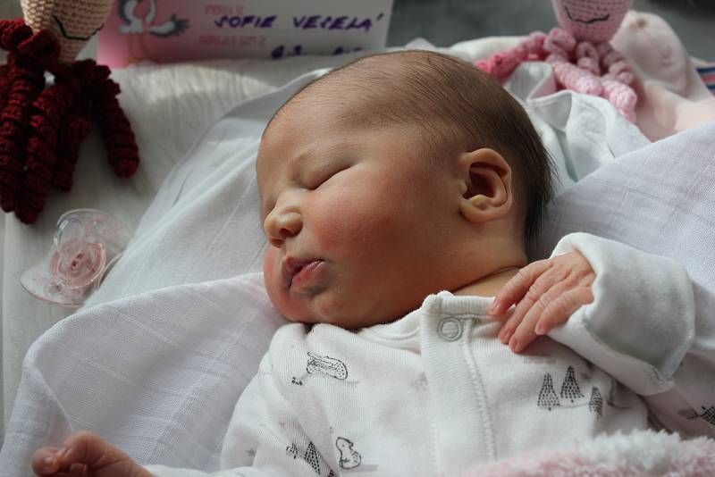 Sofie Veselá, Žešov, narozena 6. března 2019, míra 52 cm, váha 3 950 g