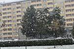 První sníh nadcházející zimy v Prostějově. 18.11. 2022