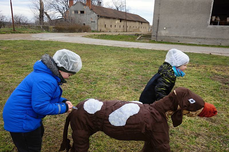 Zimní výprava za telátky ve Vrchoslavicích. 22.2. 2020