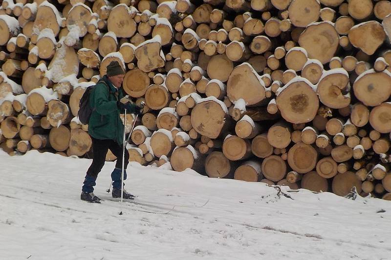 Běžkování v okolí vrcholu Skalky na Drahanské vrchovině - 27. 1. 2019