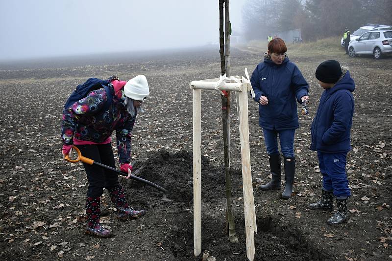 Východní část Prostějova, takzvaný cvikl v Čechůvkách, se stal místem kde se premiérově uskutečnila komunitní výsadba stromů. 13.11. 2021