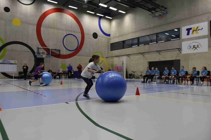 Sportovně-charitativní akce pro handicapované a děti z dětských domovů v Národním olympijském centru v Prostějově