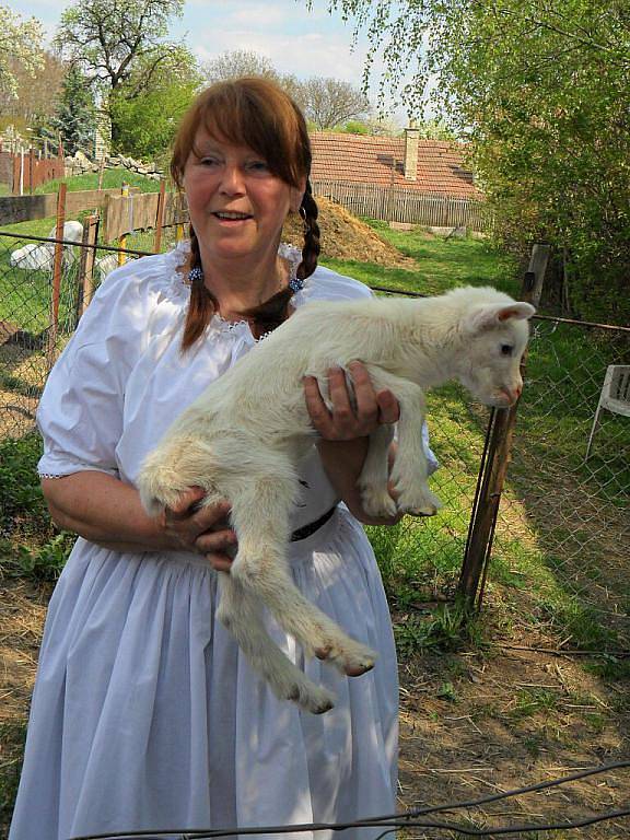 Velikonoční počítání oveček na kozí farmě Rozinka