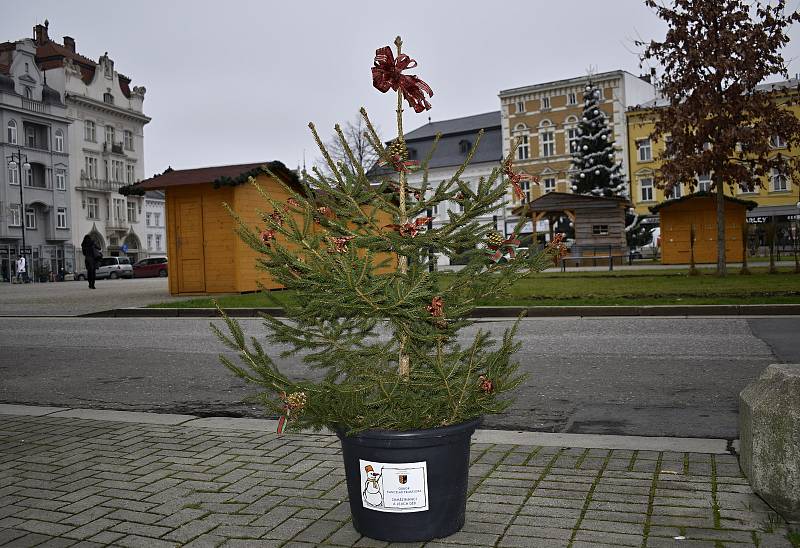 Centrální prostějovské náměstí se halí do vánočního hávu. Ozdobený už je vánoční strom a desítky malých smrčků. 26.11. 2020