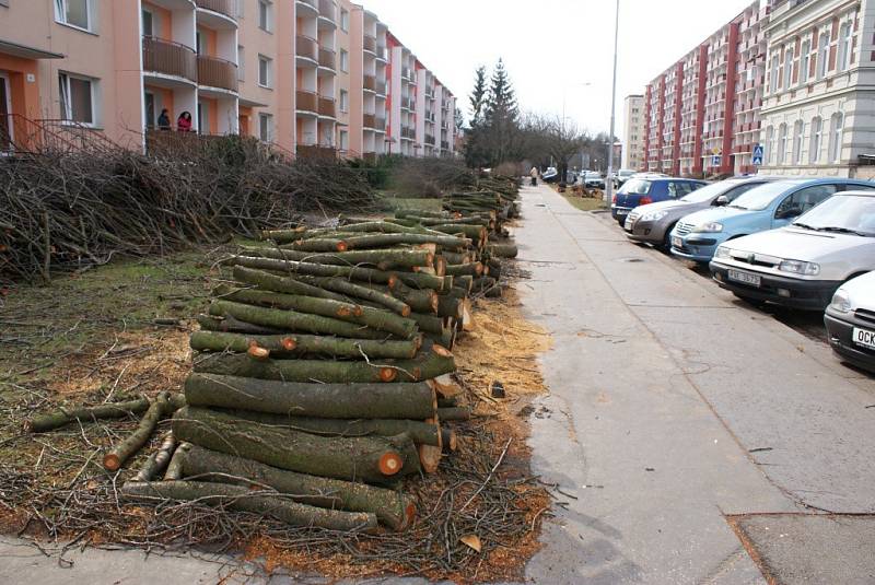 Kácení v Tylově ulici v Prostějově