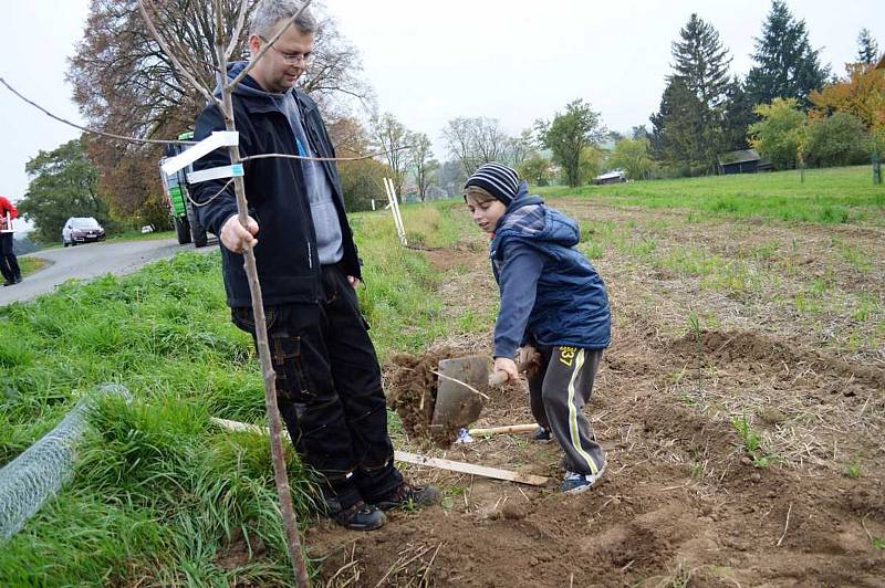 V Pivíně ve spolupráci s Nadací ČEZ vysázeli přes sto stromů.