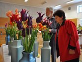 Výstava květin v  sokolovně v Brodku u Prostějova