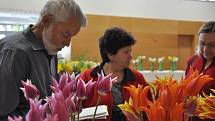 Výstava květin v  sokolovně v Brodku u Prostějova