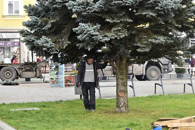 Vánoční strom dorazil na prostějovské náměstí T. G. Masaryka, 21. listopadu 2022