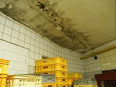 Závady v čelechovické pekárně Radim Metzner - plíseň na stropě