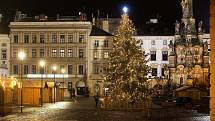 Vánoční strom a výzdoba v Olomouci