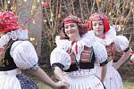 Ve Smržicích přivítal jaro folklorní soubor Klas tancem a písní. Chlapi oblečení v krojích se pak pustili do pletení kocarů.