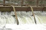 Plumlovská přehrada se v pondělí začala vypouštět. Čeká ji bagrování.