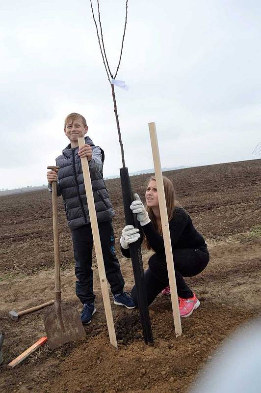 V Pivíně ve spolupráci s Nadací ČEZ vysázeli přes sto stromů.