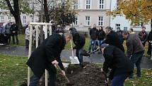 Sázení lípy k uctění 100. výročí vzniku československého státu ve Smetanových sadech v Prostějově