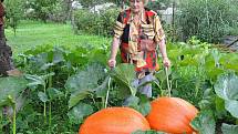 Osmdesátileté pěstitelce Marii Říhové z Brodku u Prostějova se na zahrádce urodily dýně jako hrom 