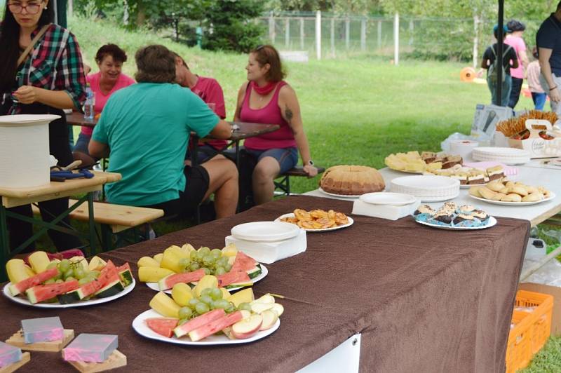 Druhý ročník charitativní akce Běh Petry Linetové v Hluchově.