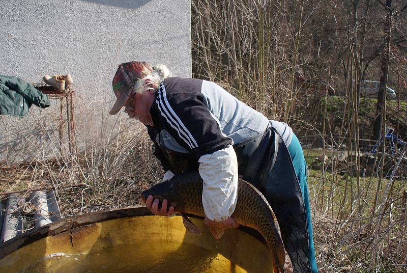 Výlov hamerského rybníka - 30. 3. 2019