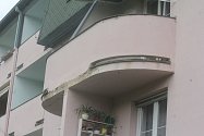 Muž bydlící v městském bytě v Prostějově si stěžuje na jeho stav. Na balkónu mu vyrostl javor.