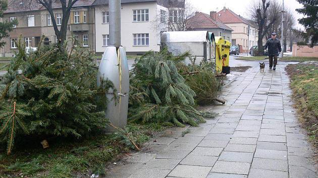 Vánoční stromky odložené u kontejnerů v ulici Dr. Horáka