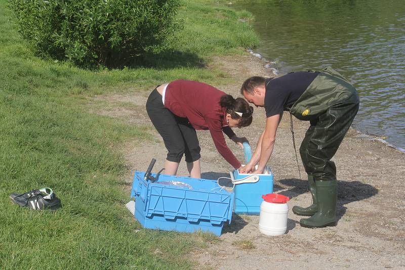 Odběr vzorků vody na plumlovské přehradě - 14. května 2018