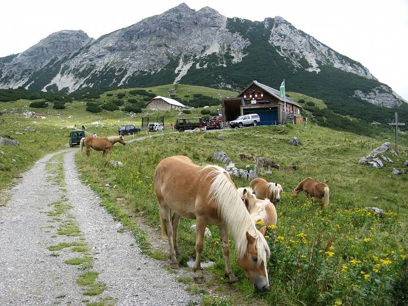 Alpy ve Vorarlbergu.