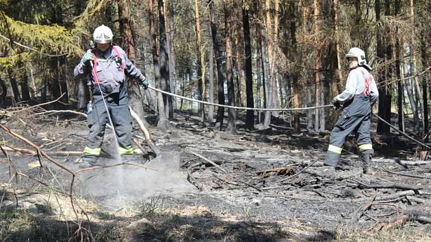 Situace v lese u Přemyslovic je stále vážná, hasičům se kvůli velkému suchu a pofukujícímu větru stále nedaří zcela zlikvidovat rozsáhlý požár.