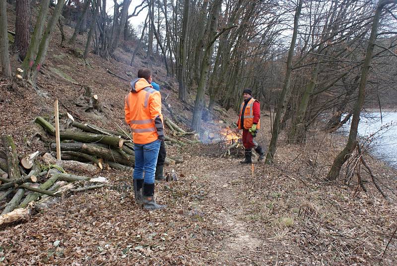 Výstavba cyklostezky podél severního břehu plumlovské přehrady - 18. února 2020  - mezi Bahňákem a ústím Hloučely do přehrady dělníci čistí křoviny a dělají tak prostor pro stavbu