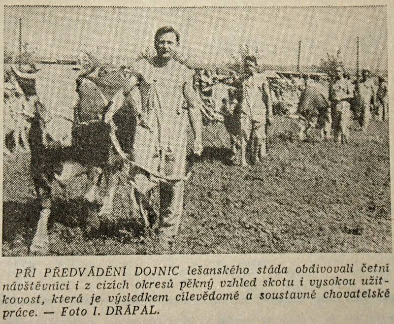 Výstřižek ze Stráže lidu z roku 1966