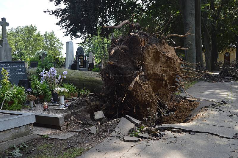 Bouřka zasáhla i prostějovský hřbitov. Popadané stromy zničily přes sedmdesát hrobů.