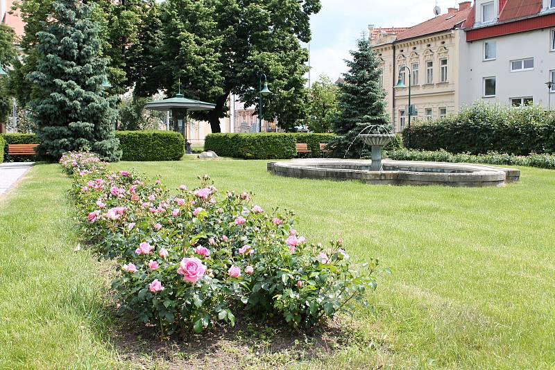 Centrum Prostějova hýří barevnými květinami. 6.6. 2019