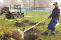 U nového mostu v Olomoucké vysázejí zahradníci zelené zákoutí.