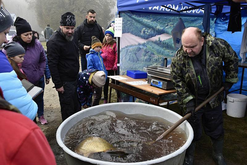 Výlov Podhradského rybníka v Plumlově, 28.10. 2021