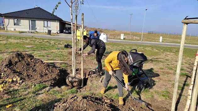 Sváteční sázení stromů v Pivíně, 28. října 2021