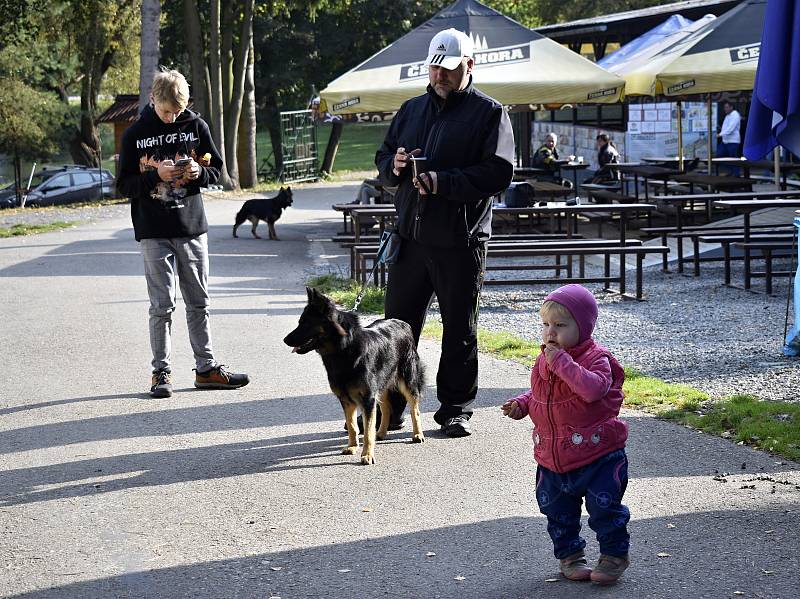 Historické psí plemeno - Chodský pes, mělo první svod ve Žraloku. 4.10. 2021