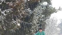 Sněhová nadílka v Olšanech u Prostějova