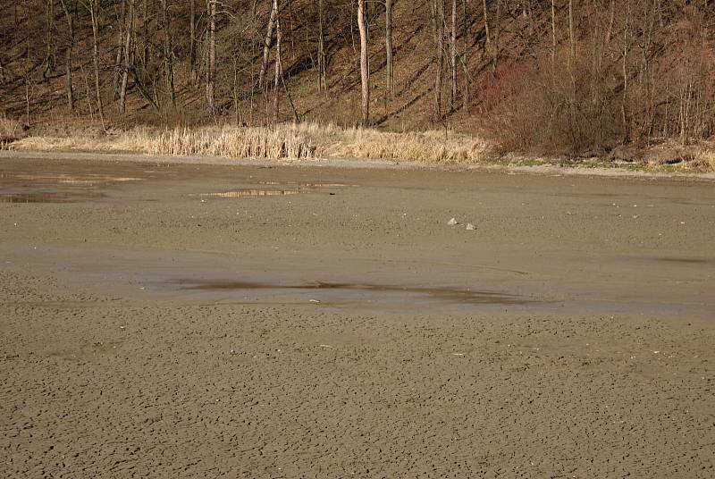 Vypuštěný rybník Bidelec v Plumlově - 19. 3. 2019