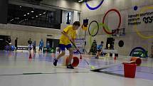 Sportovně-charitativní akce pro handicapované a děti z dětských domovů v Národním olympijském centru v Prostějově