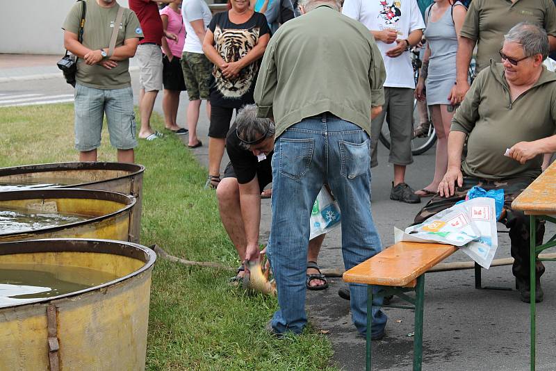 Rybářské závody na Drozdovickém rybníku