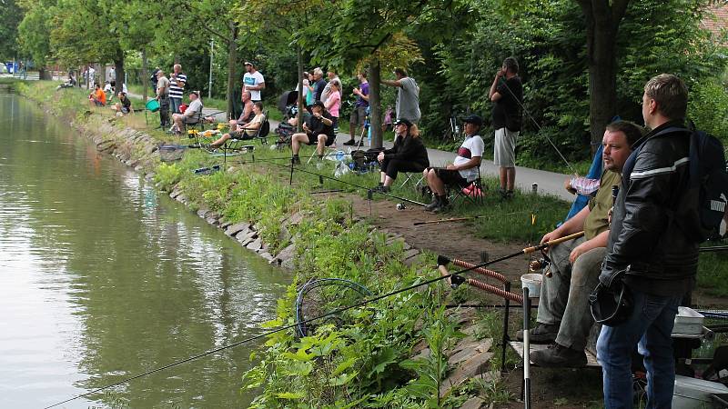 Rybářské závody na Drozdovickém rybníku v Prostějově - 8. 6. 2019, plus vyhlašování výsledků