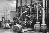 d r. 1953 patřil pivovar pod nově vzniklou společnost Olomoucké pivovary n.p., po jejím zániku v roce 1955 opět pod podnik Hanácké pivovary n.p. a od roku 1960 přešel ke společnosti Jihomoravské pivovary n.p. Brno.