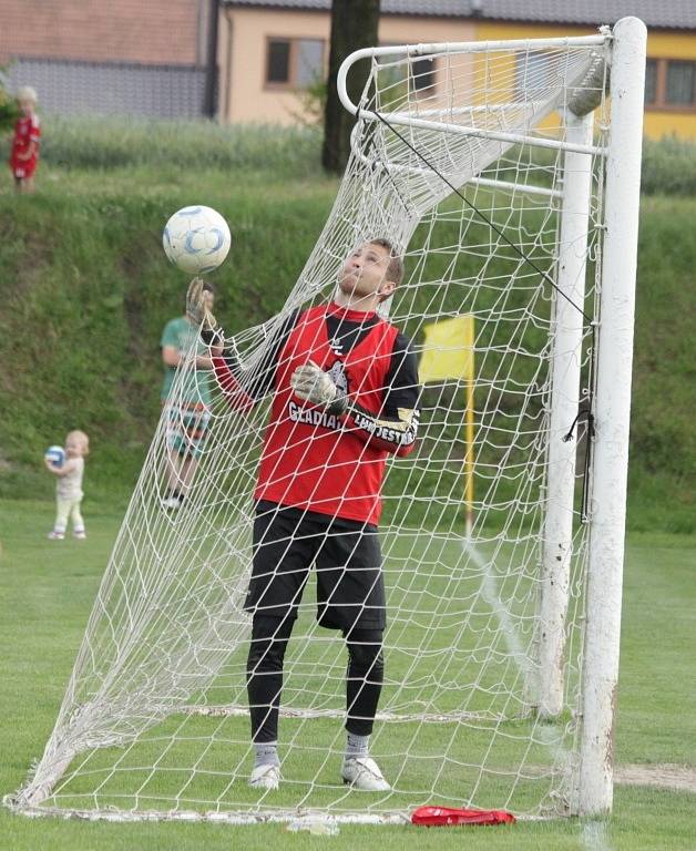 Jestřábi proti Čechovicím